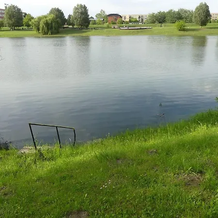 Napsugár Baja